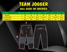 Load image into Gallery viewer, Prototype JT Team Joggers - last one!
